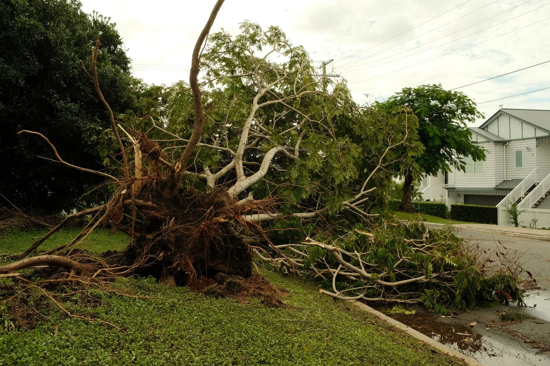 A home with storm damage after a hurricane